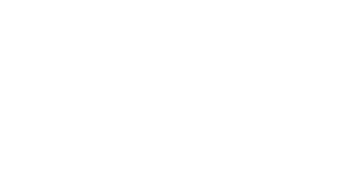 BlizzardW